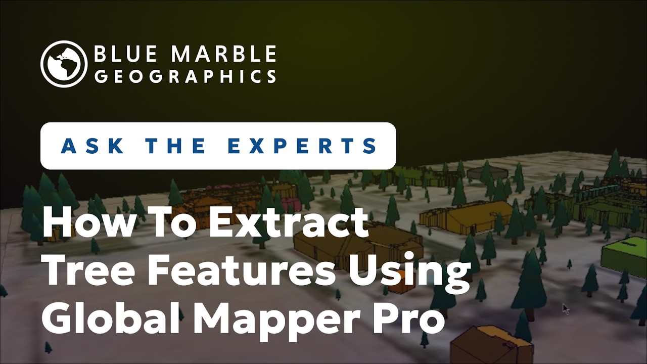 Как извлечь особенности деревьев с помощью Global Mapper Pro | Спросите экспертов