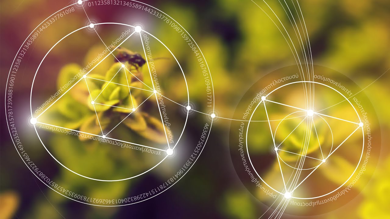What is the Poincare Conjecture? | World Science Festival