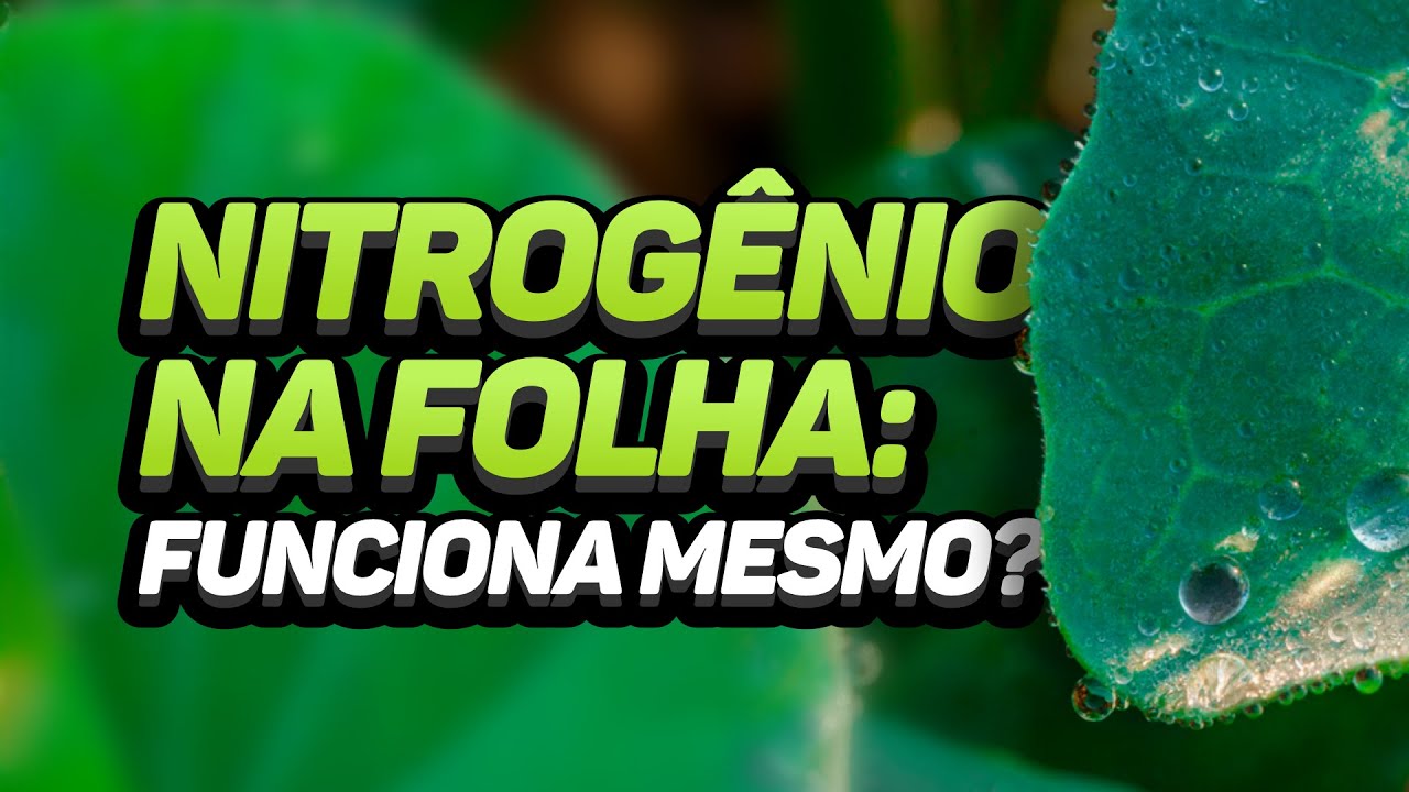 NITROGÊNIO NA ADUBAÇÃO FOLIAR E QUANDO USAR?