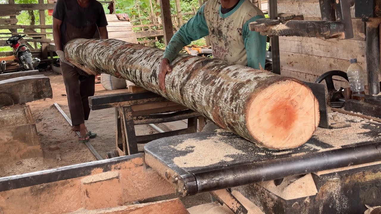 Basic Steps Sawing 2x20 Wood with Machine