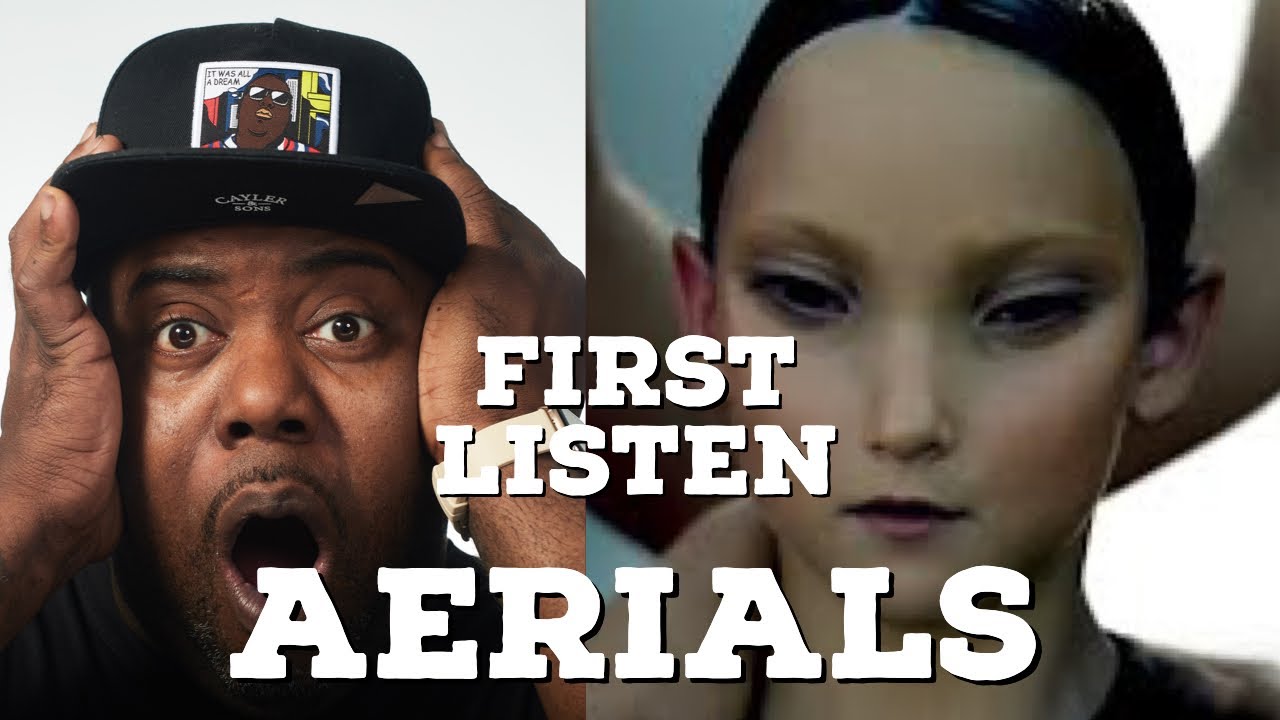 System Of A Down - Aerials Reaction