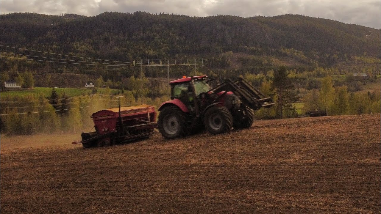 Såing 2024 | McCormick | Väderstad