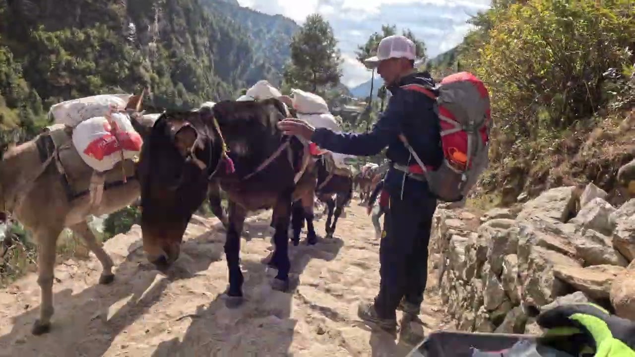 Nepal 2025 Day 14