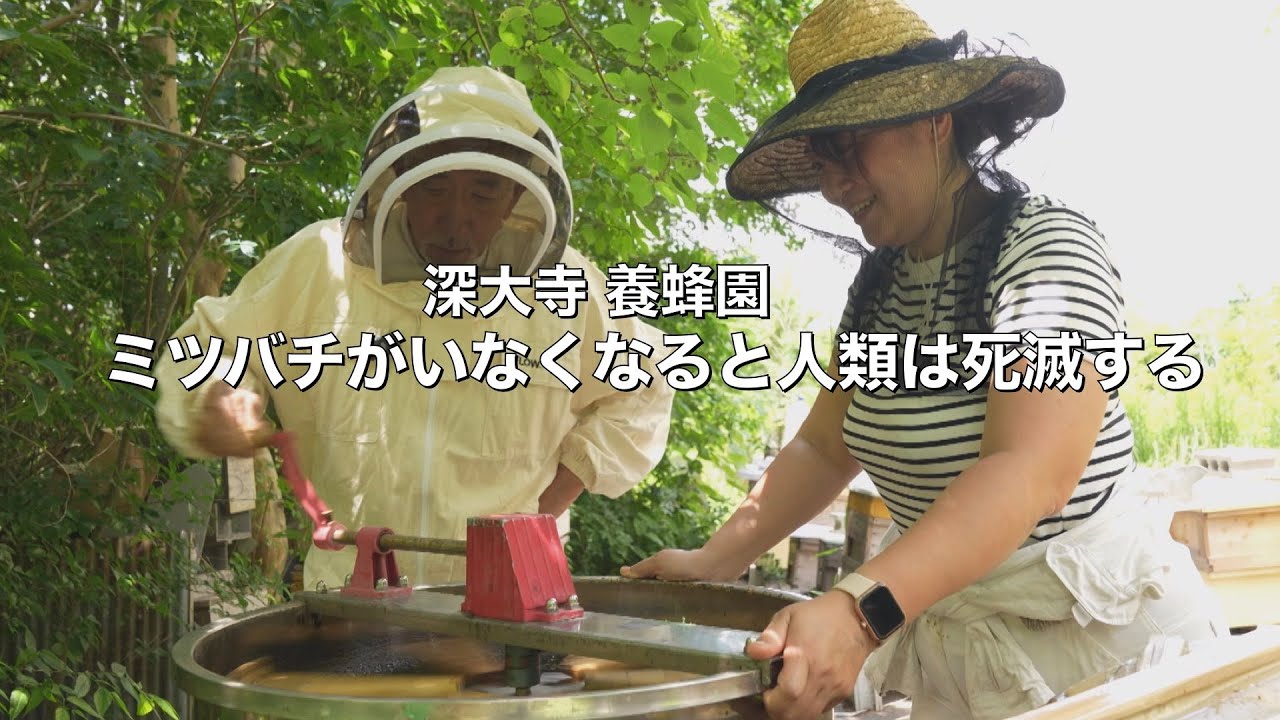 【はちみつ 深大寺養蜂園】ミツバチがいなくなると人類は4年で死滅する ーアインシュタインー