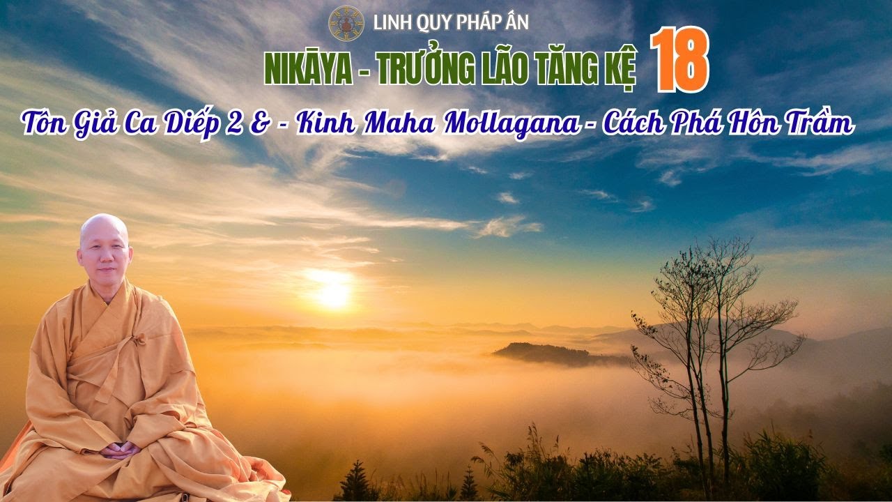 NIKAYA Trưởng Lão Tăng Kệ 18 - Tôn Giả Ca Diếp 2 & - Kinh Maha Mollagana - Cách Phá Hôn Trầm 