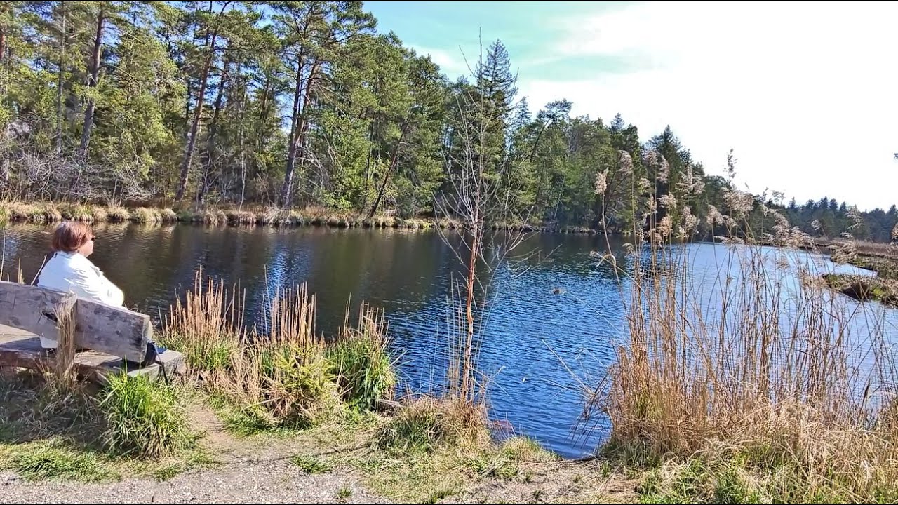 Entenweiher ohne Enten ?     na sowas    aber sonst ein Traum