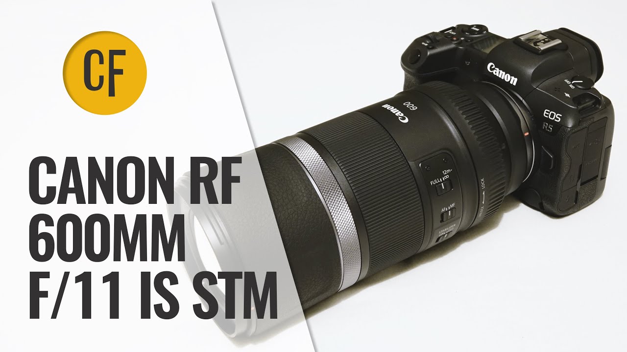 Обзор объектива Canon RF 600mm f11 IS STM с примерами