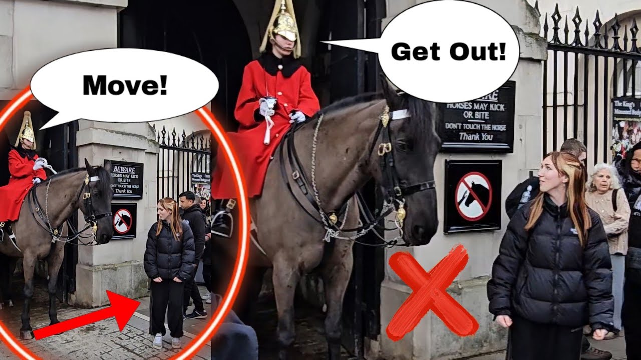 She walked straight inside the box then THIS HAPPENS!