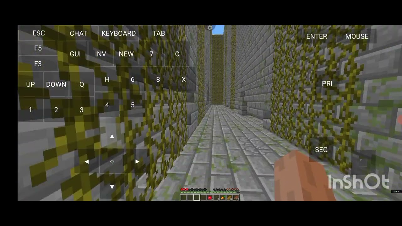 1ч Лабиринт в Minecraft