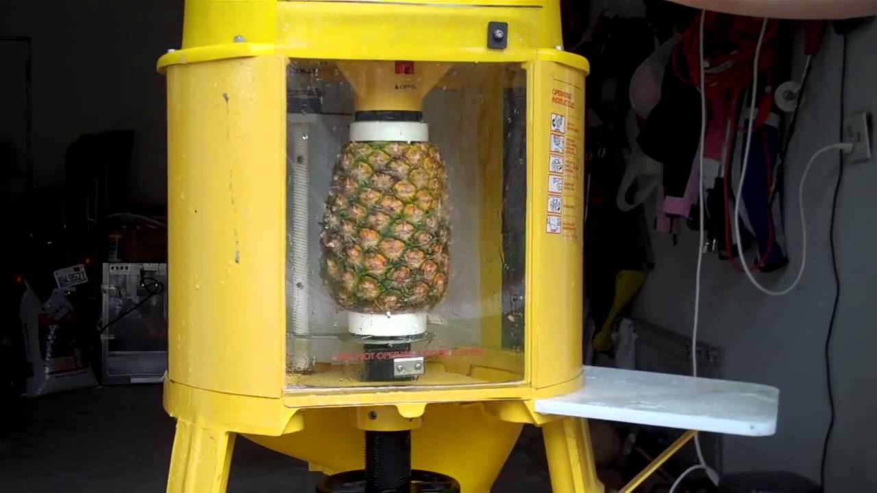 Del Monte Automatic Pineapple Peeler Corer Machine