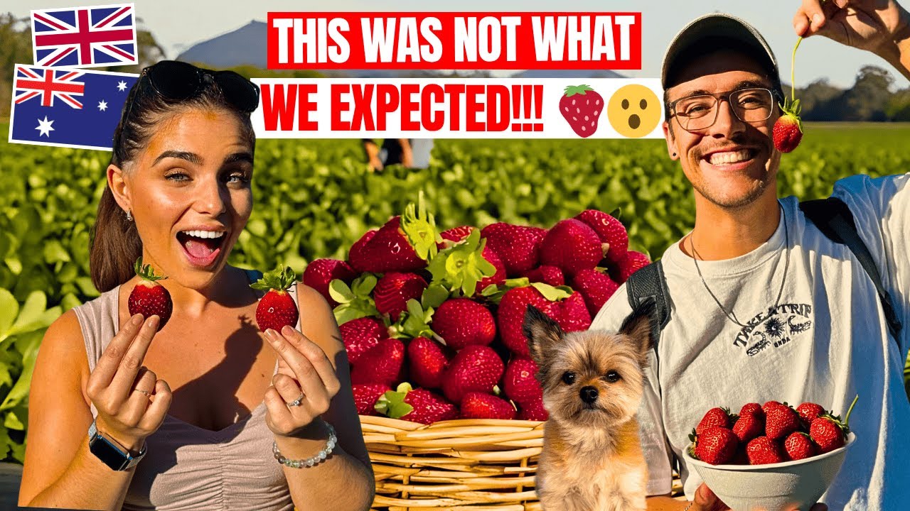 We Tried Fruit Picking in Australia… and Didn't Expect This! 🍓🇦🇺