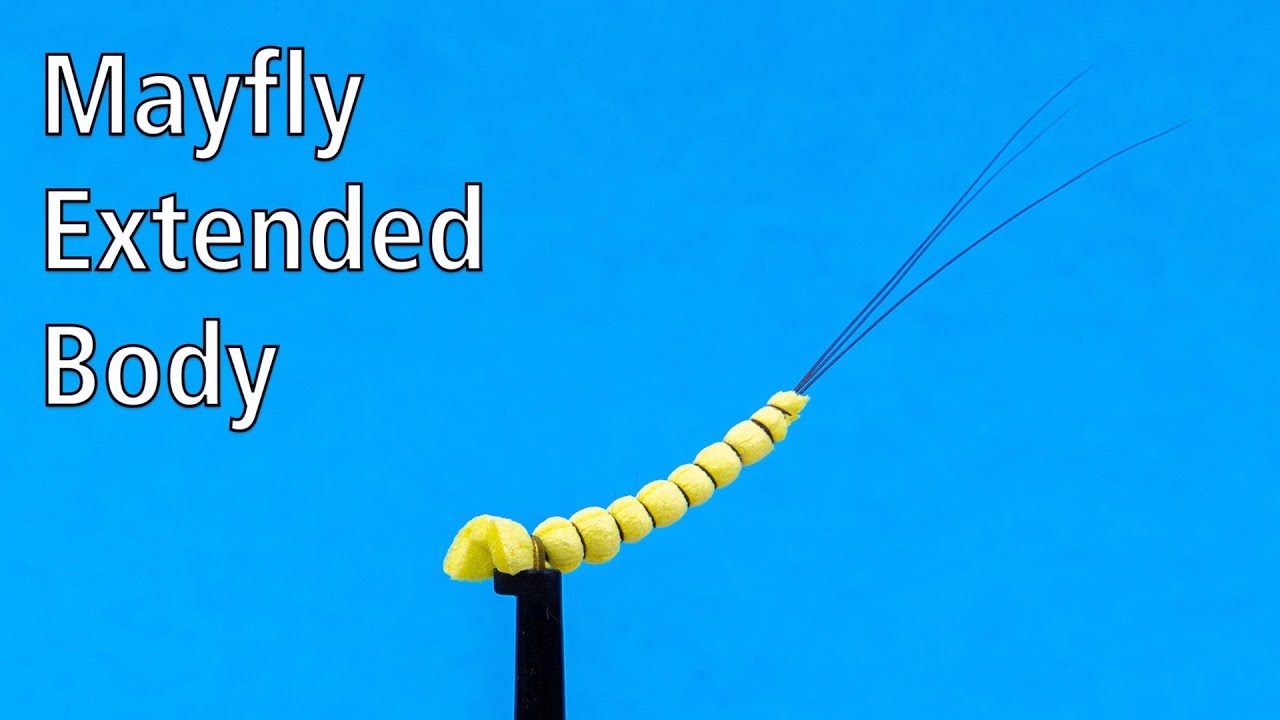 Mayfly Extended Body
