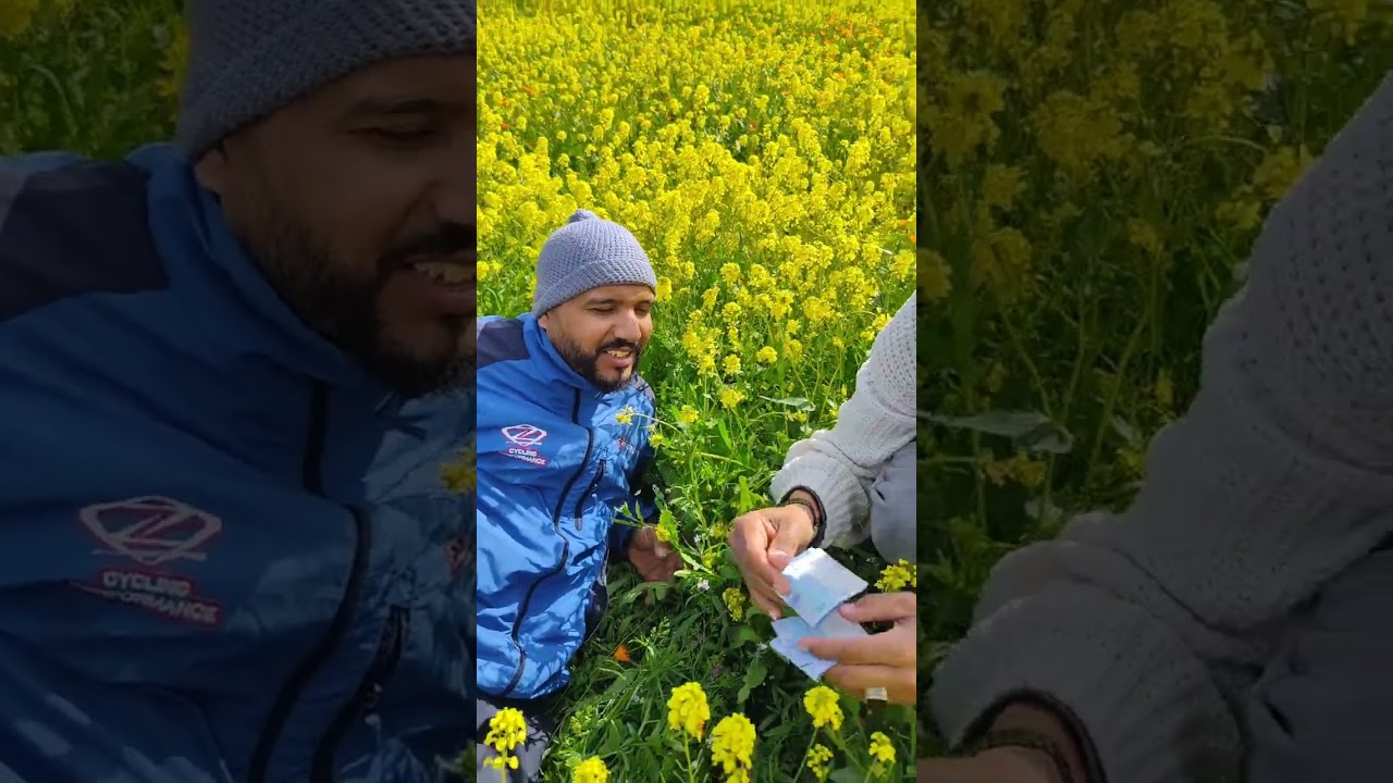 فاش كنسلف شي صاحبك 