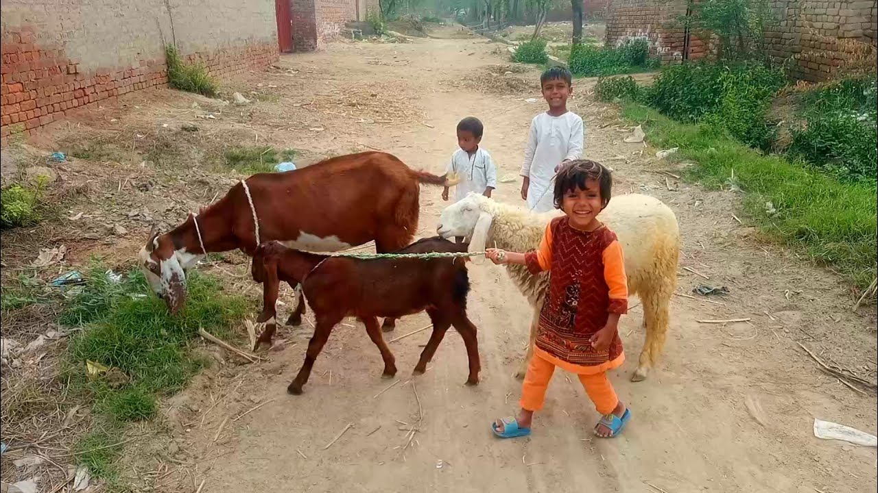 Aaj teenon ko Bahar charane Lekar Aaye | adil charwaha