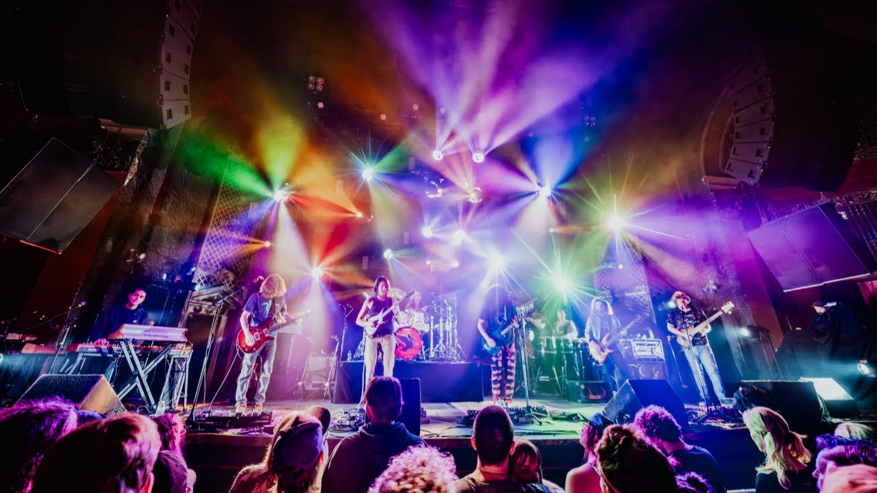 Pigeons Playing Ping Pong: 