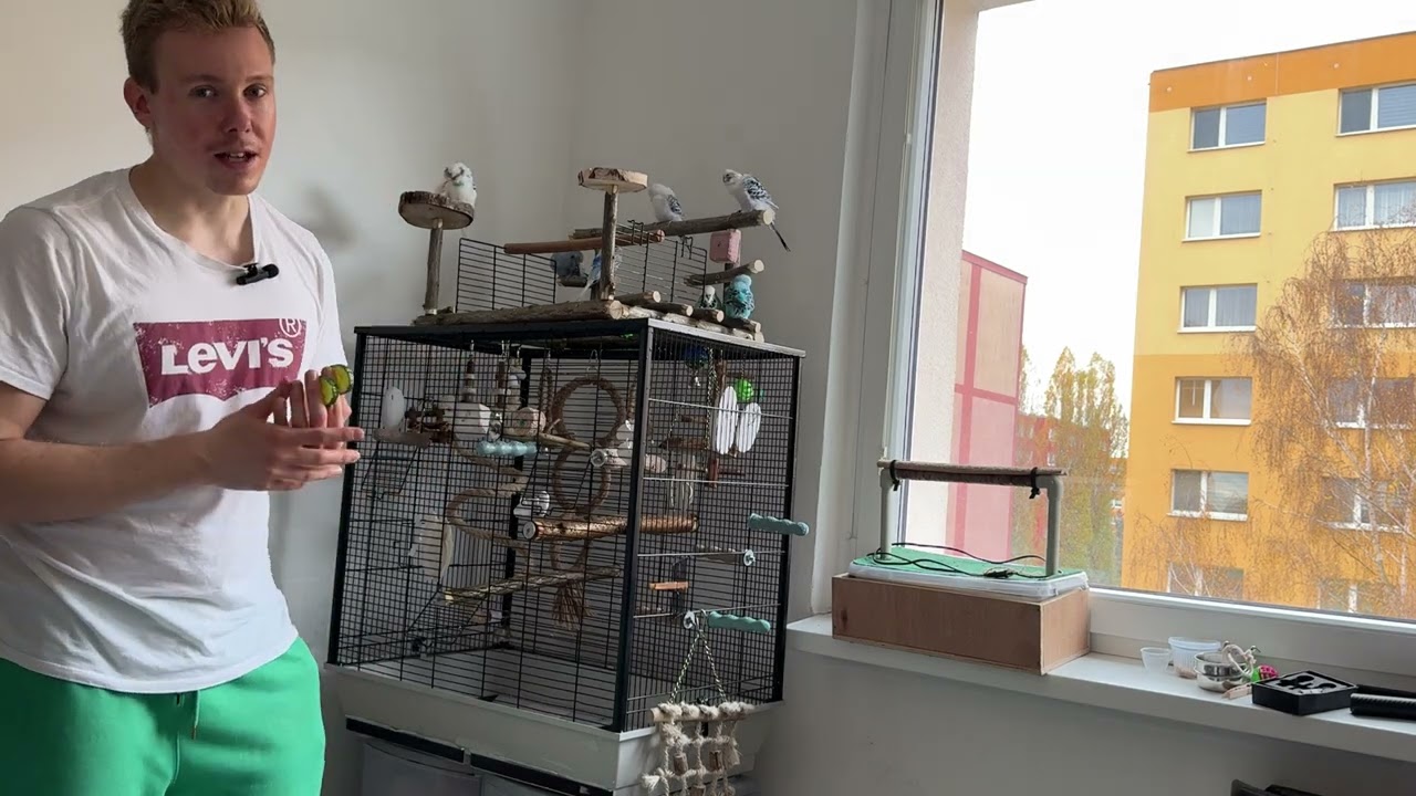 Může trpět andulka psychickými problémy?