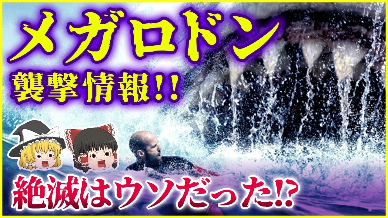 【ゆっくり解説】メガロドンに襲撃された!? 太古の超巨大ザメが生存する数々の衝撃的証拠を紹介!!