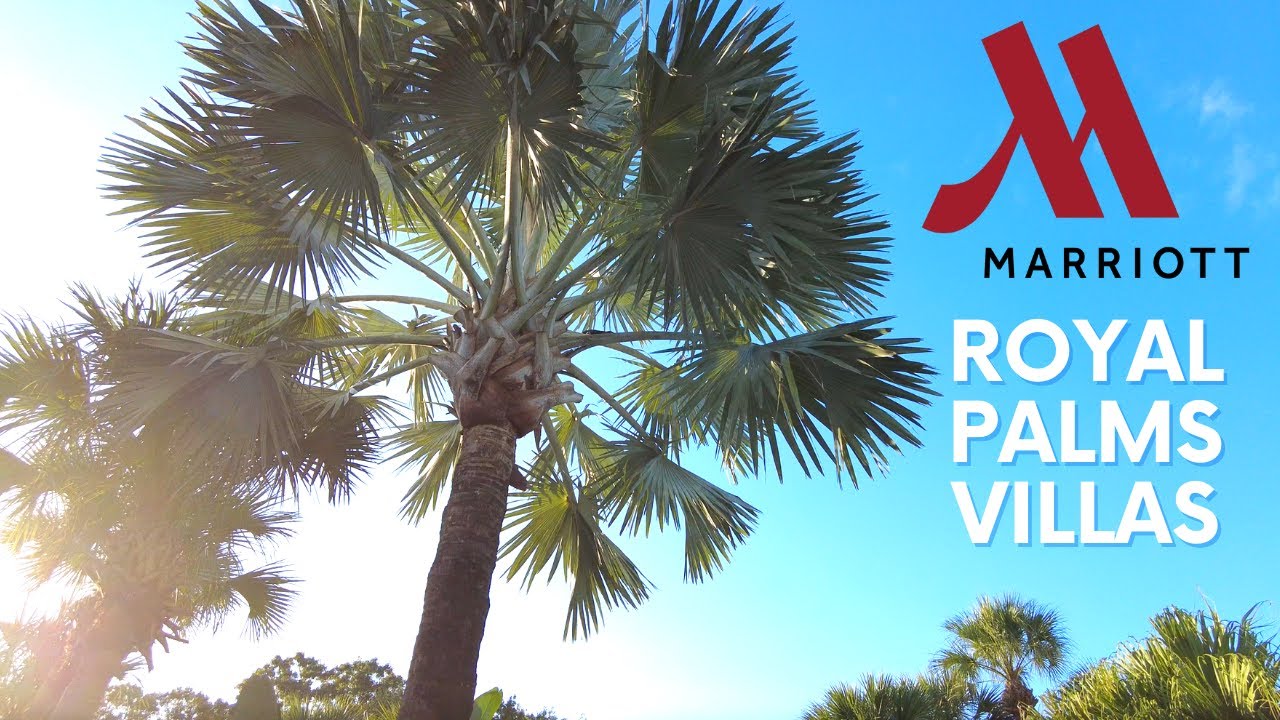 Marriott Royal Palms Villas in Orlando Florida