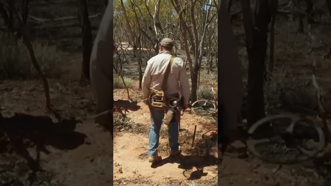Ted discovers an old mining site  #shorts  #aussiegoldhunters