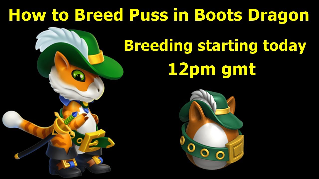 How to Breed Puss in Boots Dragon-Dragon Mania Legends | Top Breeding Combination | DML