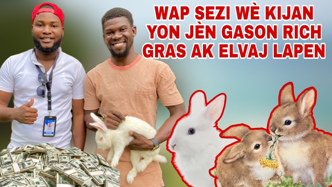 Men kijan yon jèn gason ap kreye richès gras ak elvaj lapen