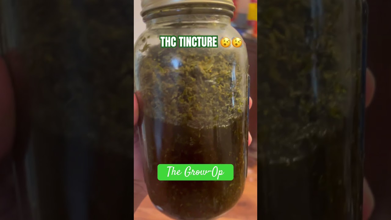 Making some STRONG THC tincture #cannabiseducation #edibles #420
