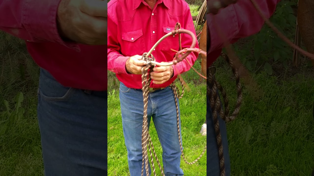 Learn to Tie a Mecate to a Hackamore with Martin Black