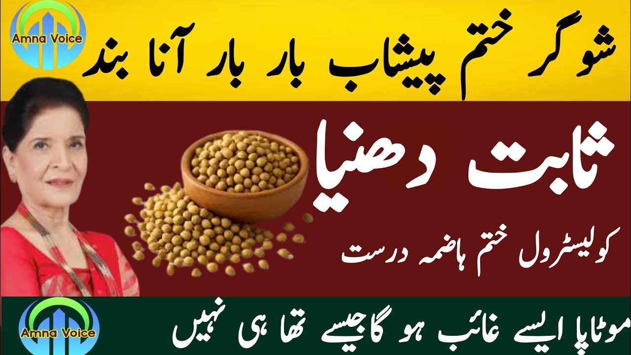 Motivational Islamic Quotes | Best Urdu Quotes | Golden Words | Rumi Quotes | Hazrat Ali Quotes
