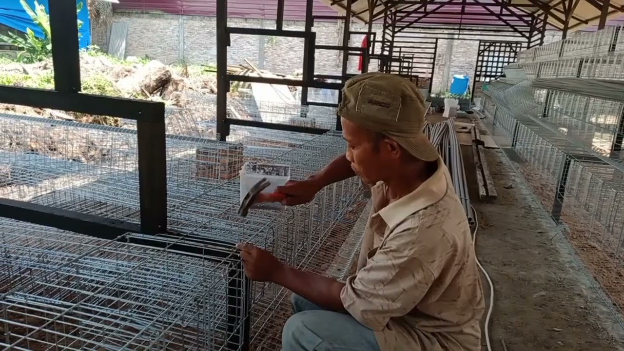 Tutorial pamasangan kawat kandang KE 5