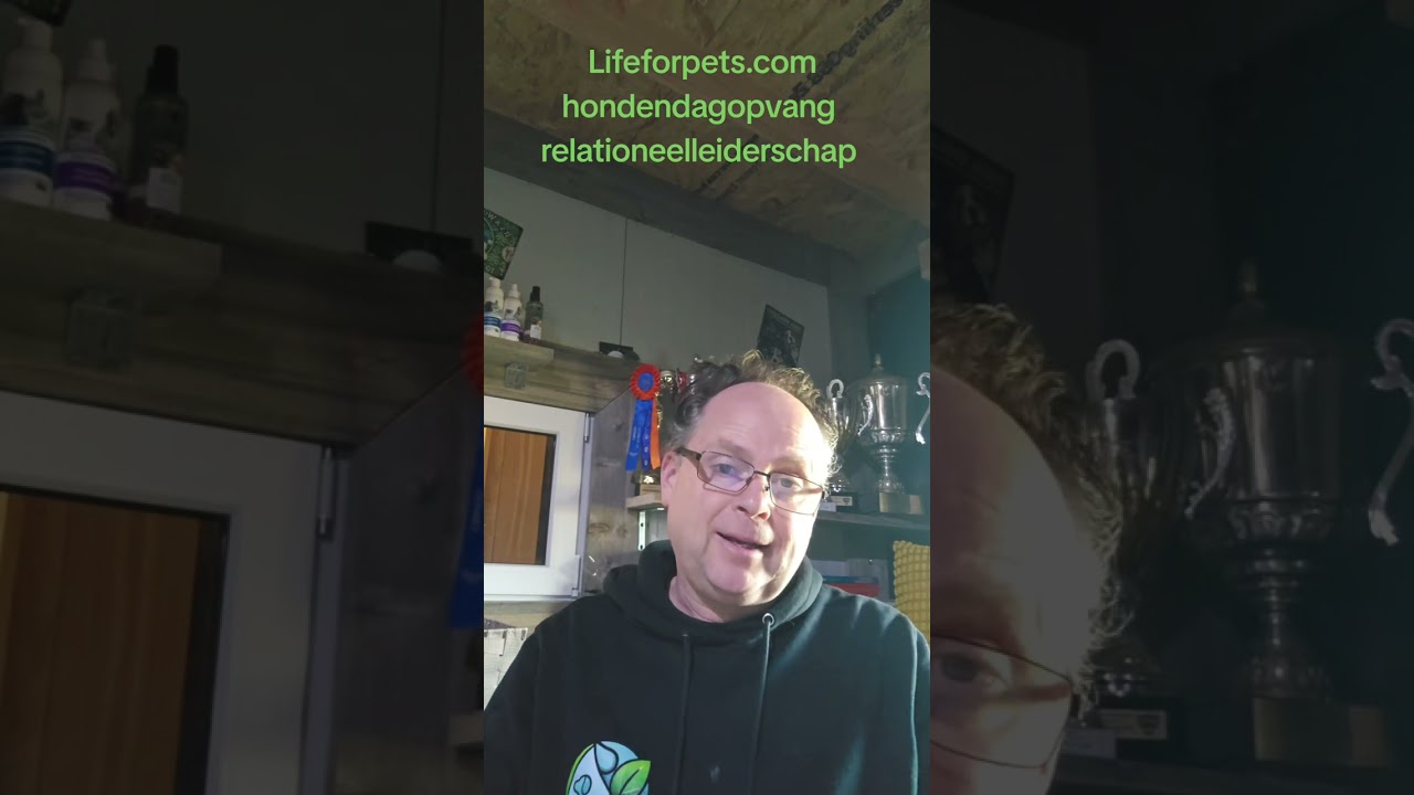 Tip van de week relationeelleiderschap #lifeforpets.com  #hondendagopvang #hondengedgragcoach 