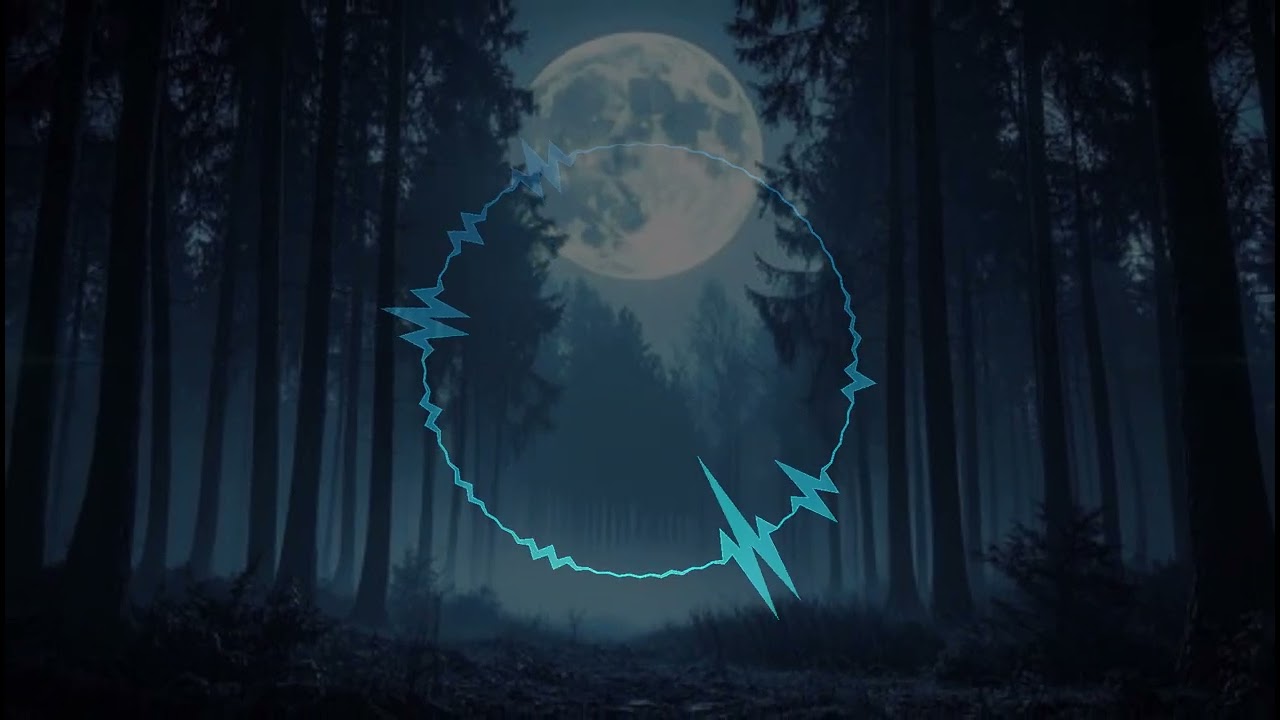 HiBi Project - After Life