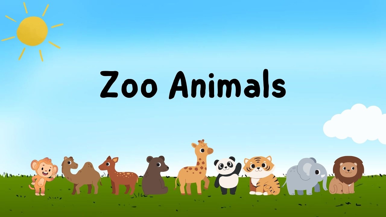 English reading practice / English learning /Zoo Animals