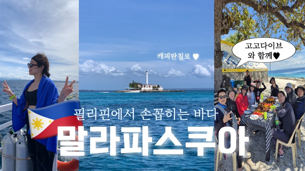 세부에 이렇게나 예쁜 섬이 있다고? 캐피탄칠로 안보고가면 섭하지💛 cebu malapacua🏝️
