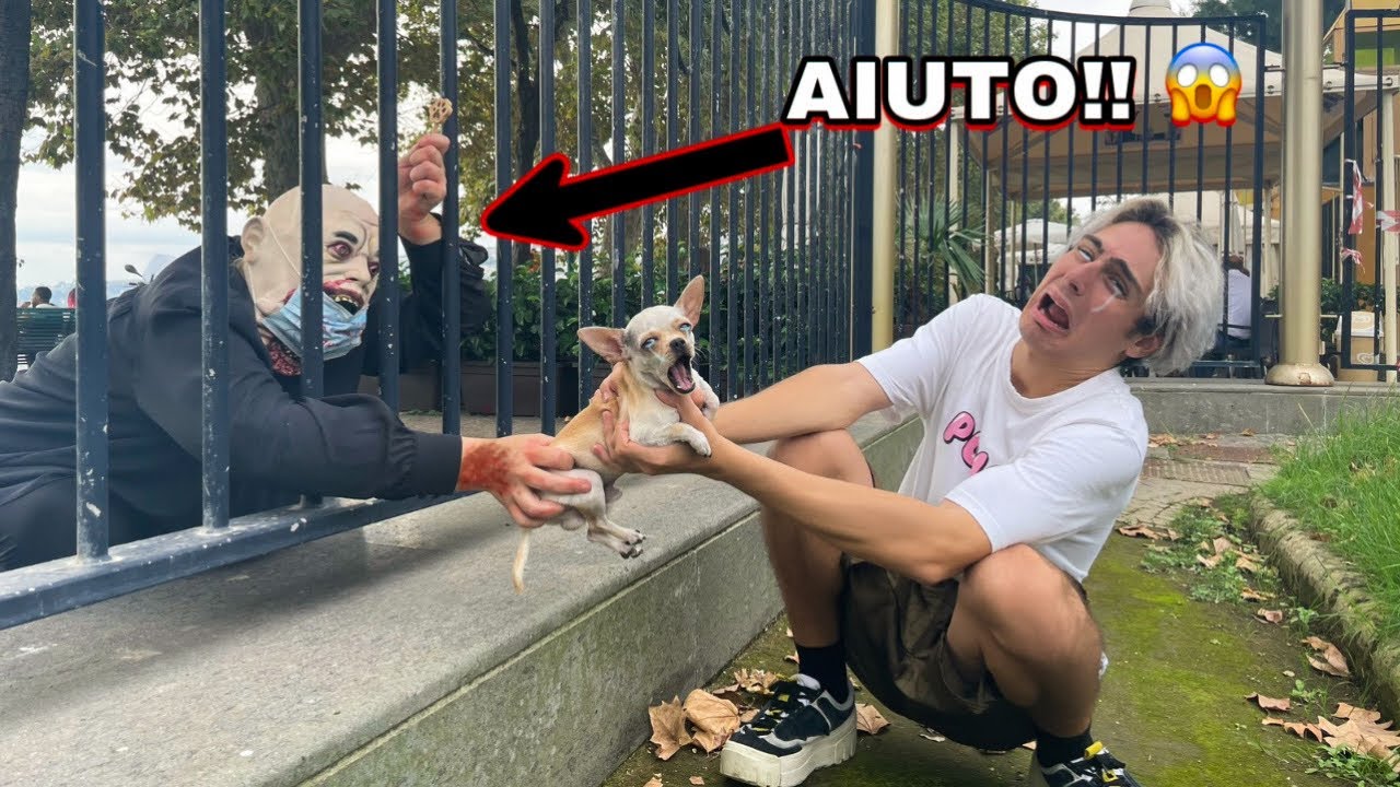 UNO SCONOSCIUTO CERCA DI RAPIRE IL NOSTRO CAGNOLINO AL PARCO GIOCHI!! *che paura*