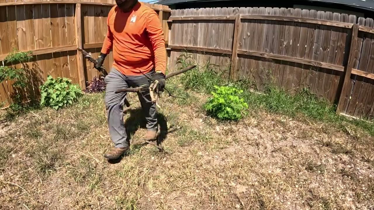 OVERGROWN lawn in Nice Neighborhood- I Had to Fix It