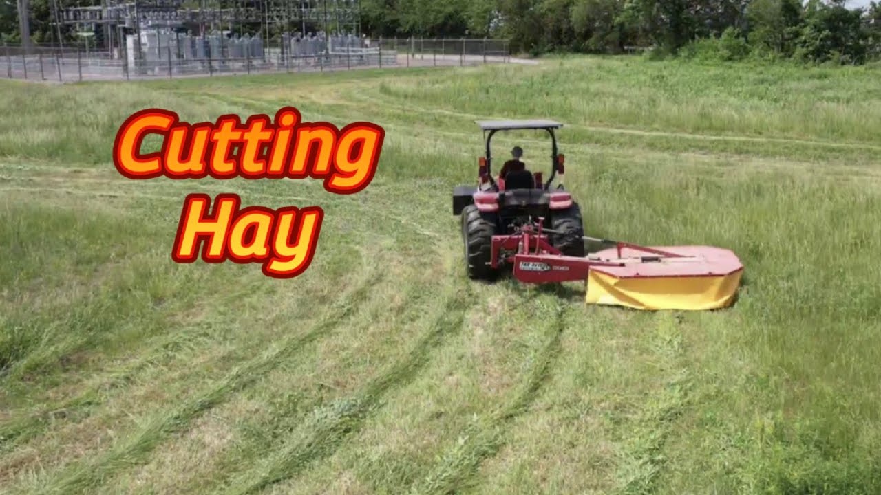 Cutting Hay 2023 #farming