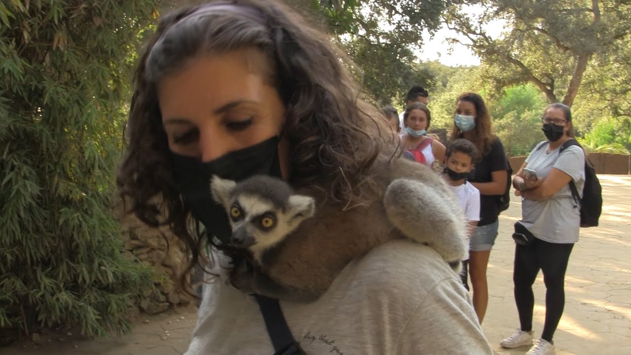 Zoo Castellar de la Frontera (Octubre 2021)