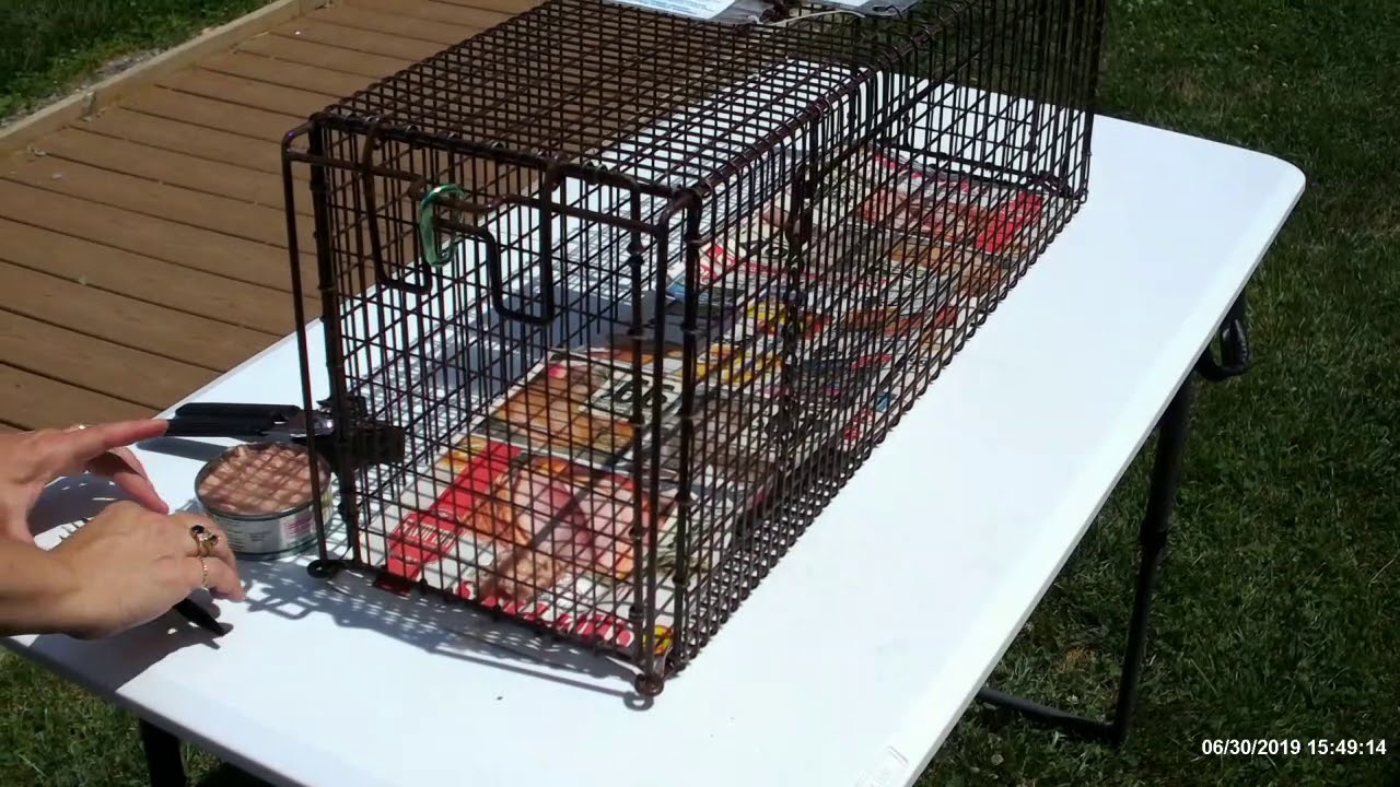 How to Use a TruCatch Box Trap