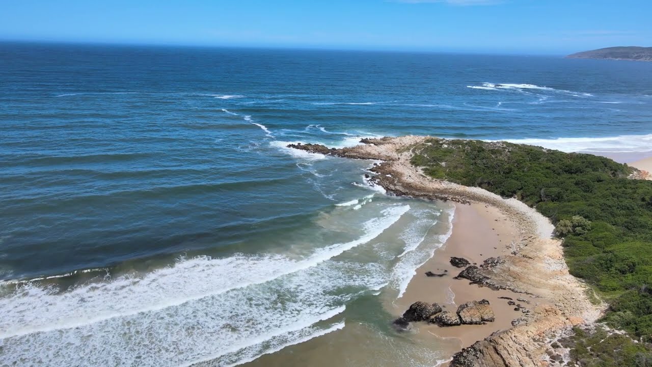 Seagulls attack on Lookout beach