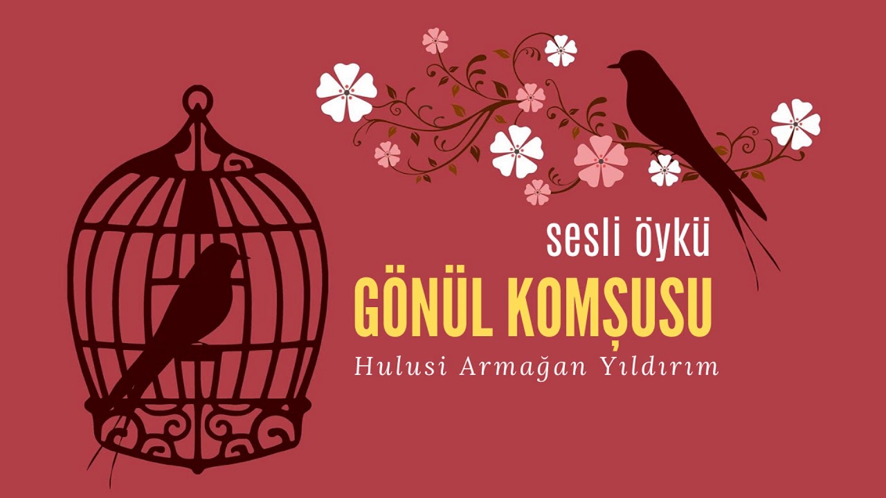 BENİM YILDIZLARIM | HULUSİ ARMAĞAN YILDIRIM (Sesli Öykü)