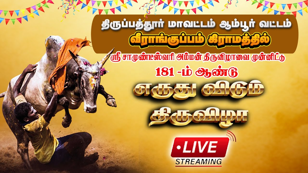 🔴 I எருது விடும் திருவிழா  I வீராங்குப்பம் ஆம்பூர்  I  28.1.2026