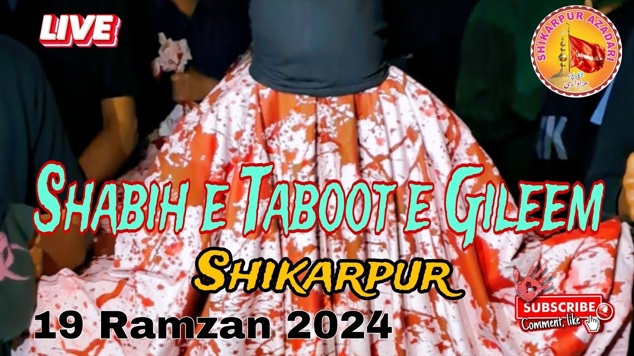 🔴Live Taboot e Gileem 19 Ramzan 2024 Shikarpur || #zarbatemolaali #shia #shiastatus #19ramzanstatus