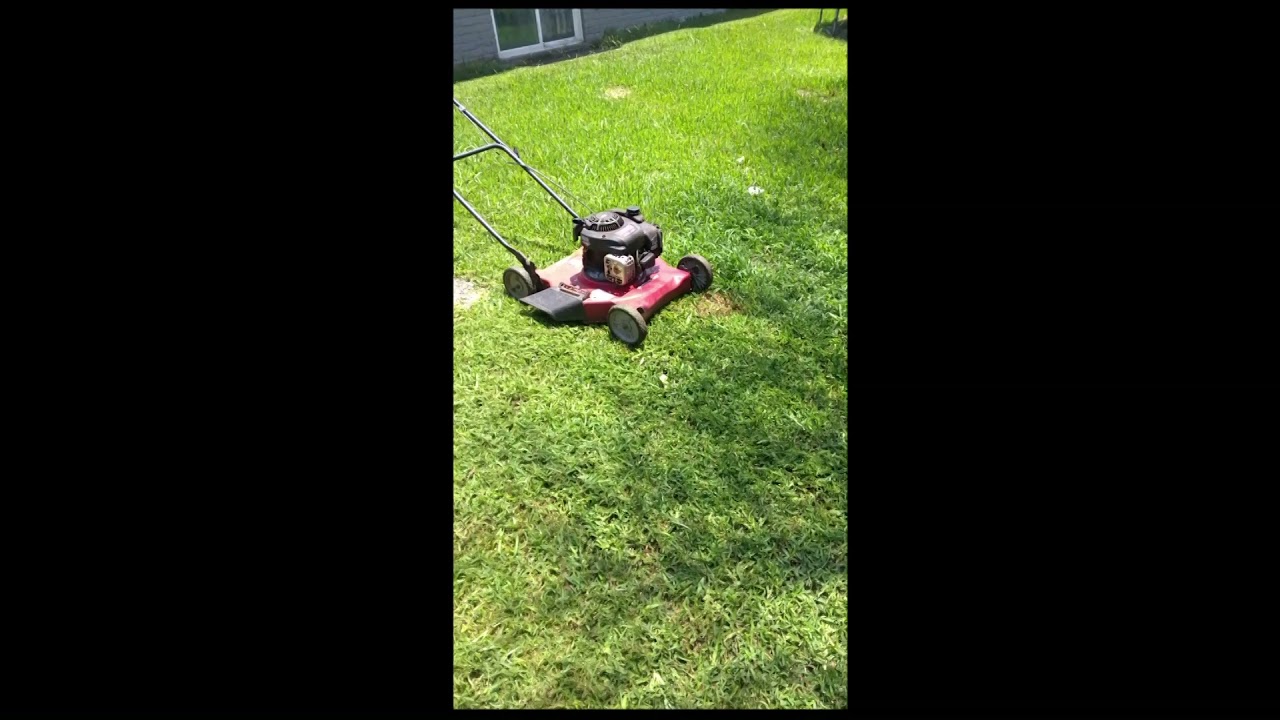 Meditation mind satisfying grass 2