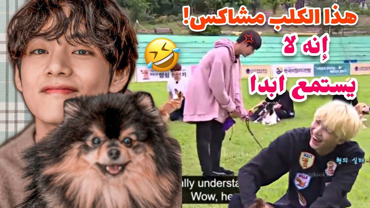 مواقف BTS المضحكة مع الحيوانات 🤣
