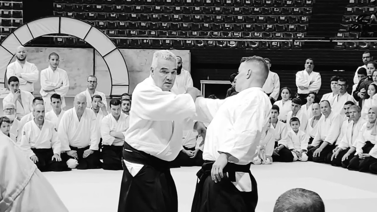 Aïkido, FAA , Wilko Vriesman Shihan 7 DAN 04.05.2024 Seminar international Aikido ALGiERS