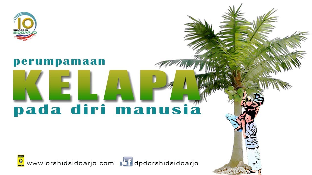 Perumpamaan Kelapa pada Diri Manusia  oleh  Bapak Mustain Karim