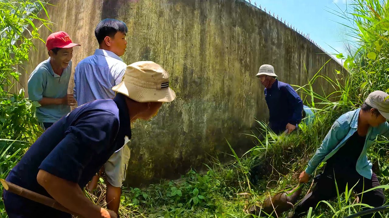 Vây bắt heo rừng đi lạc trong đám sậy giữa thành phố | TGSB #467