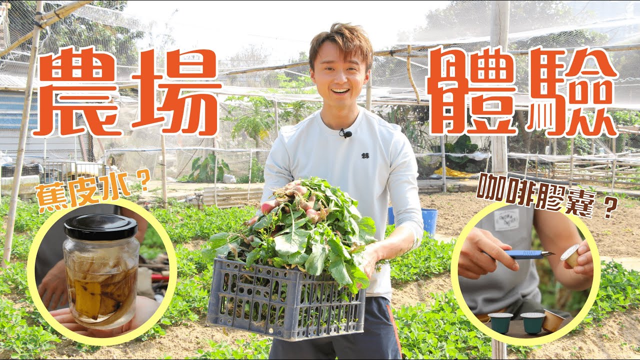 【我們耕田去👨🏻‍🌾】務農初體驗🥬 自製環保肥料🌏💚 由翻土播種到收成！全記錄！🥕｜梁彥宗 Chris Leung