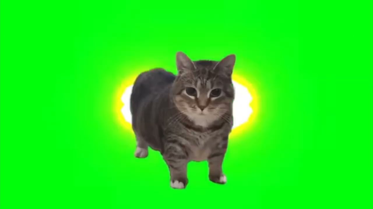 OllA OllA ( Spinning cat ) remix 