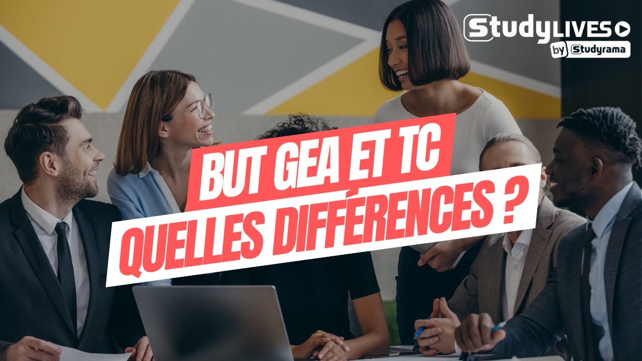 BUT GEA et Tech de Co : quelles différences ?